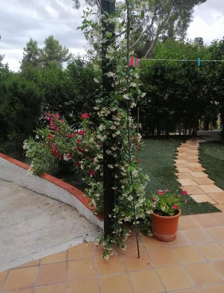 PUERTA DEL SOL - Housity