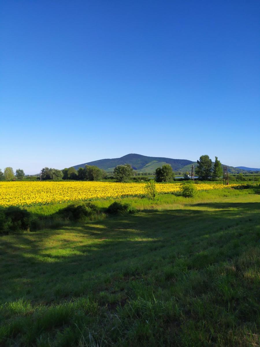 Napraforgó apartman Tokaj - Housity