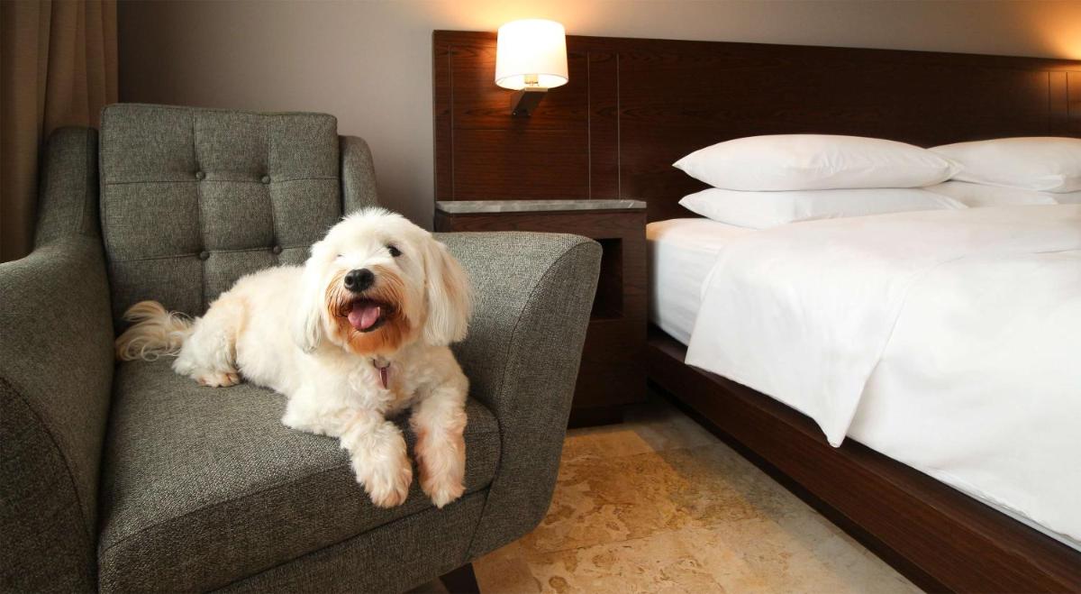Hyatt Regency Villahermosa - Housity