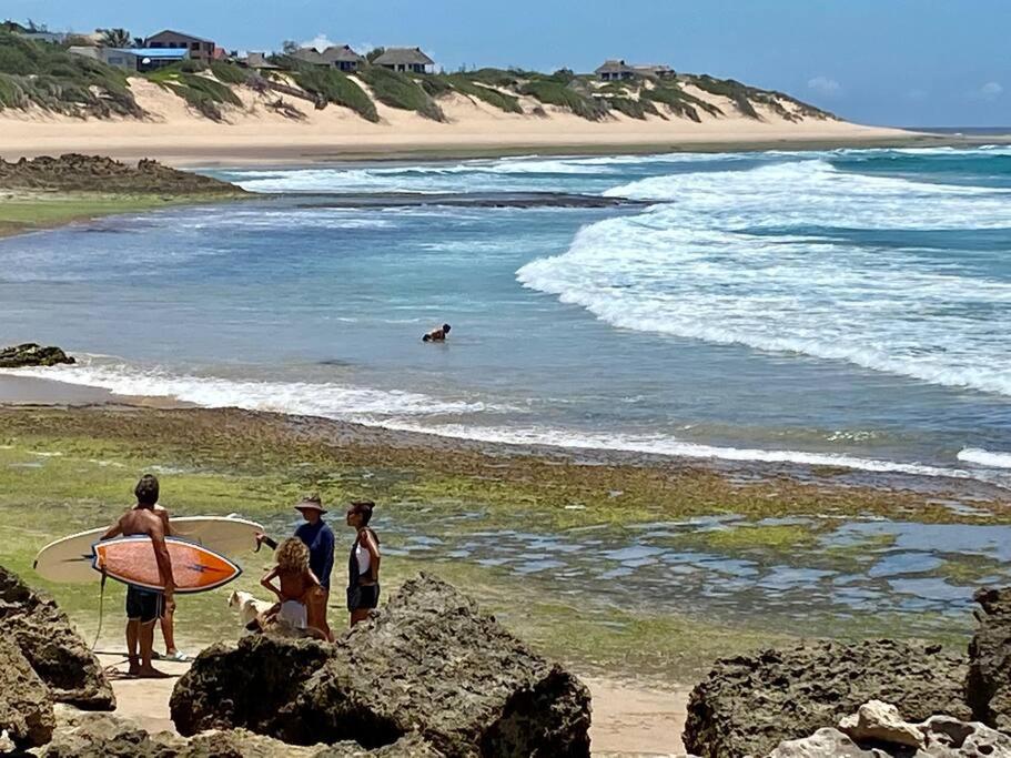 Coral Tree Surf Cottage - Tofinho, Tofo - Housity