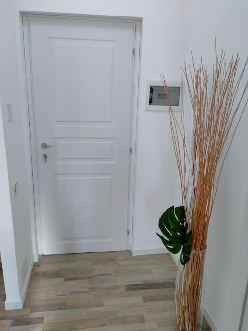 suite room malpensa b&b - Housity