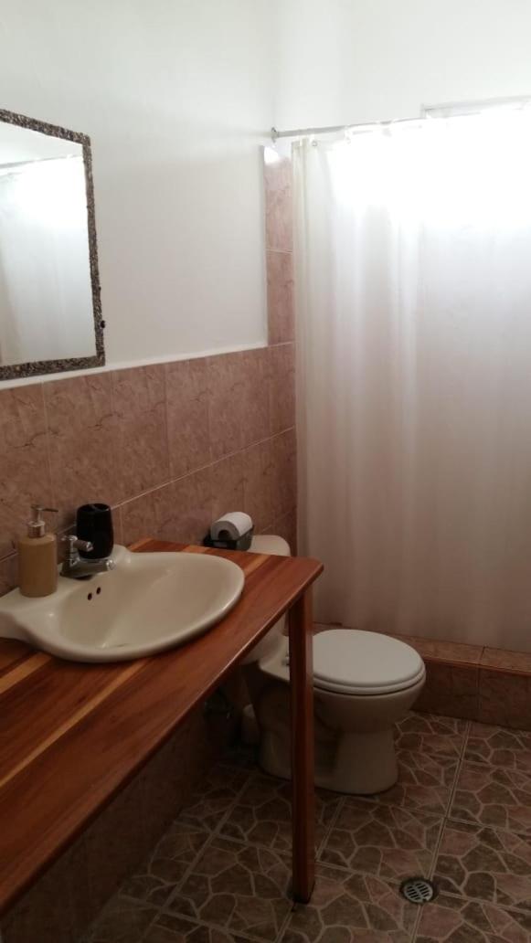 Mambo Ecohostal - Housity