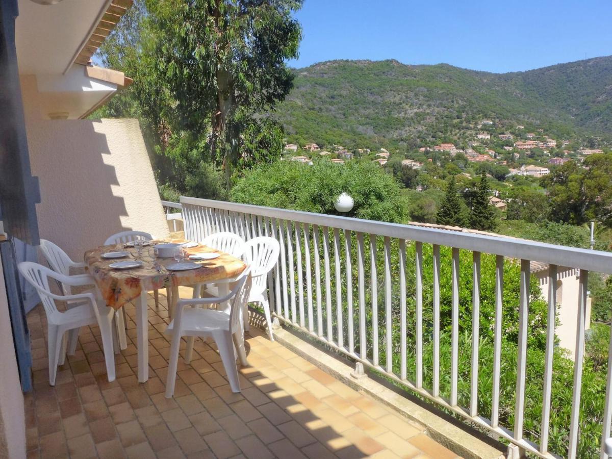 Cap Négre - Domaine de la Pinède-7 - Housity