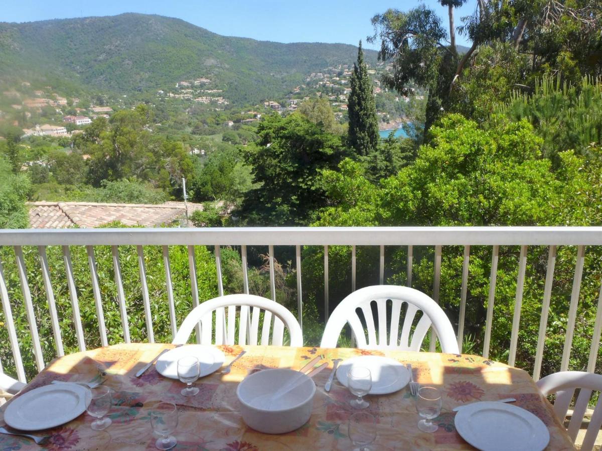 Cap Négre - Domaine de la Pinède-7 - Housity