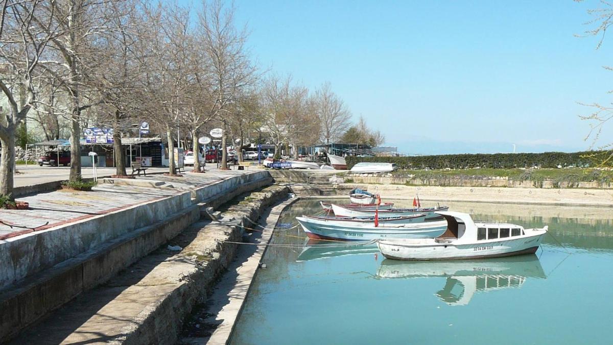 Ali's Pension - Housity