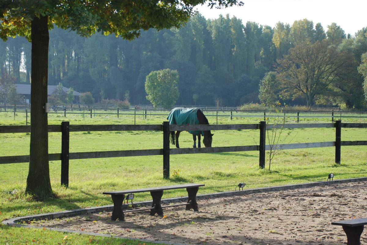 Apartments Luisenhof - Housity