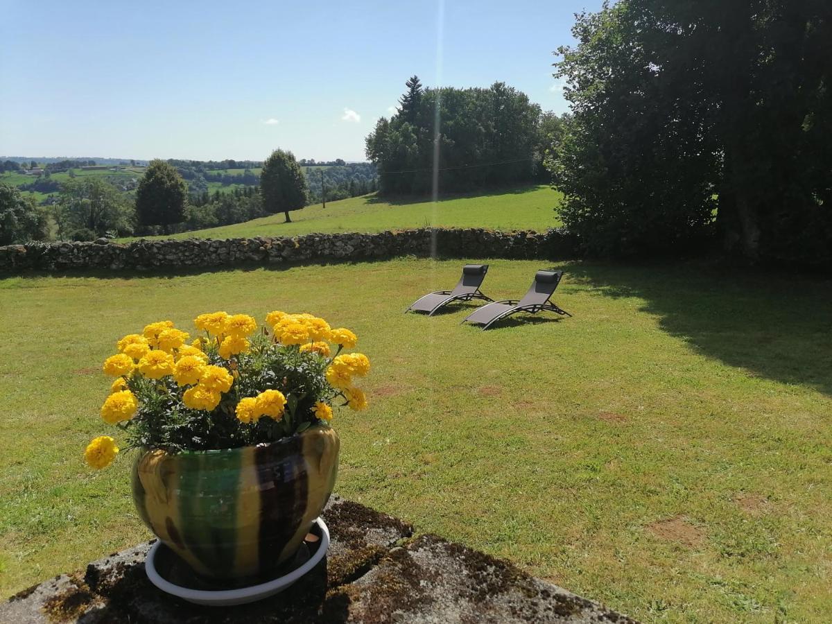 Gîte du Bosquet Pays de Salers Cantal - Housity