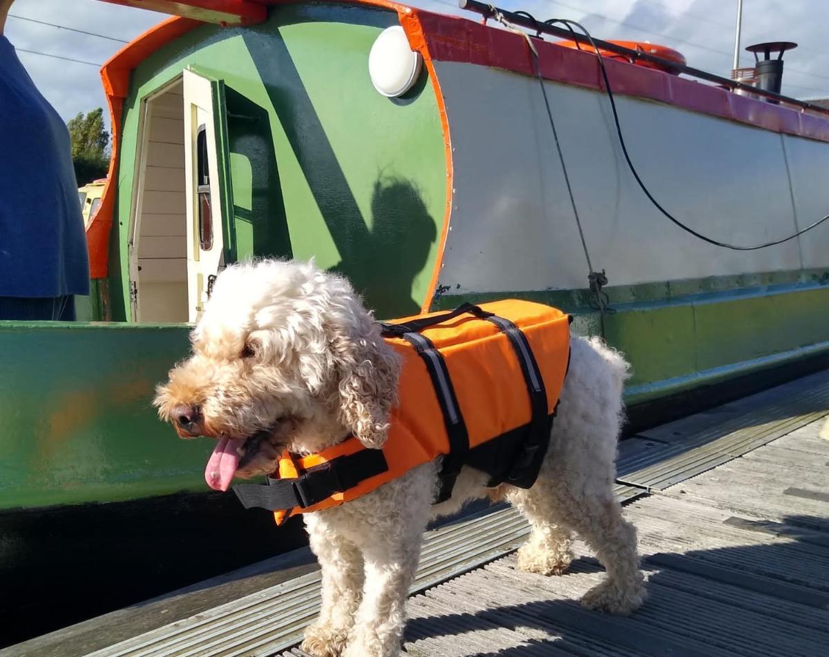 NEW 2022! Fixed stay characterful narrowboat at the Kelpies, Marigold Sunset - Housity