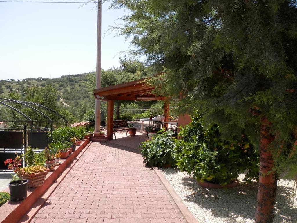 Casa vacanze VILLA ANGELA con piscina house country per 8 persone - Housity