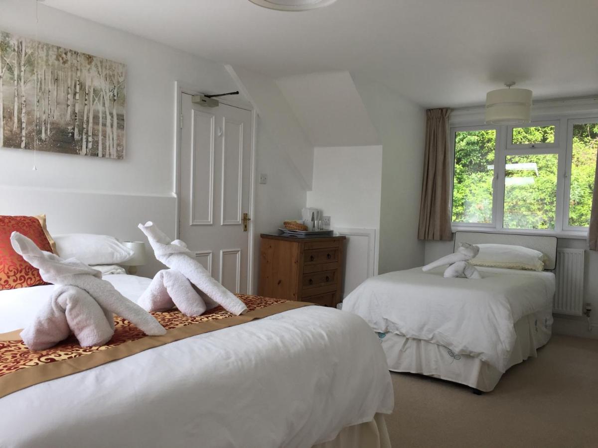 Silver Birch Guesthouse - Housity