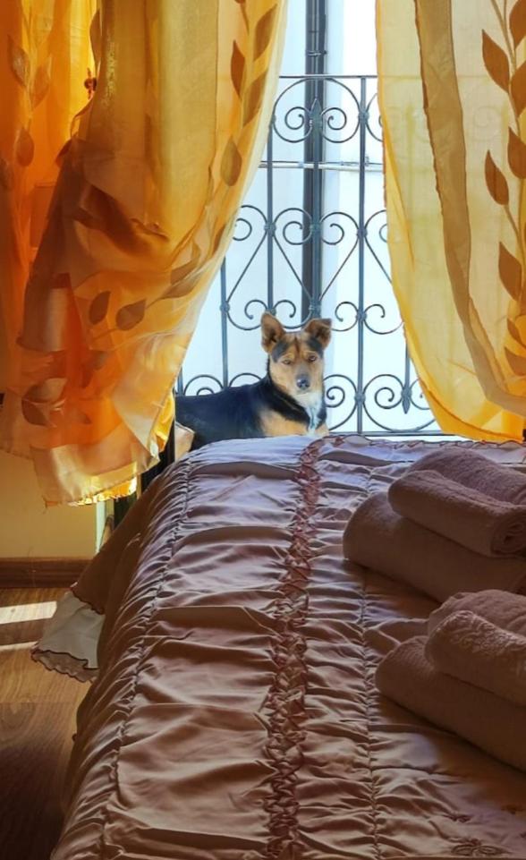 La casetta della nonna - Housity