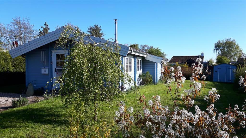 Das blaue Häuschen - Housity
