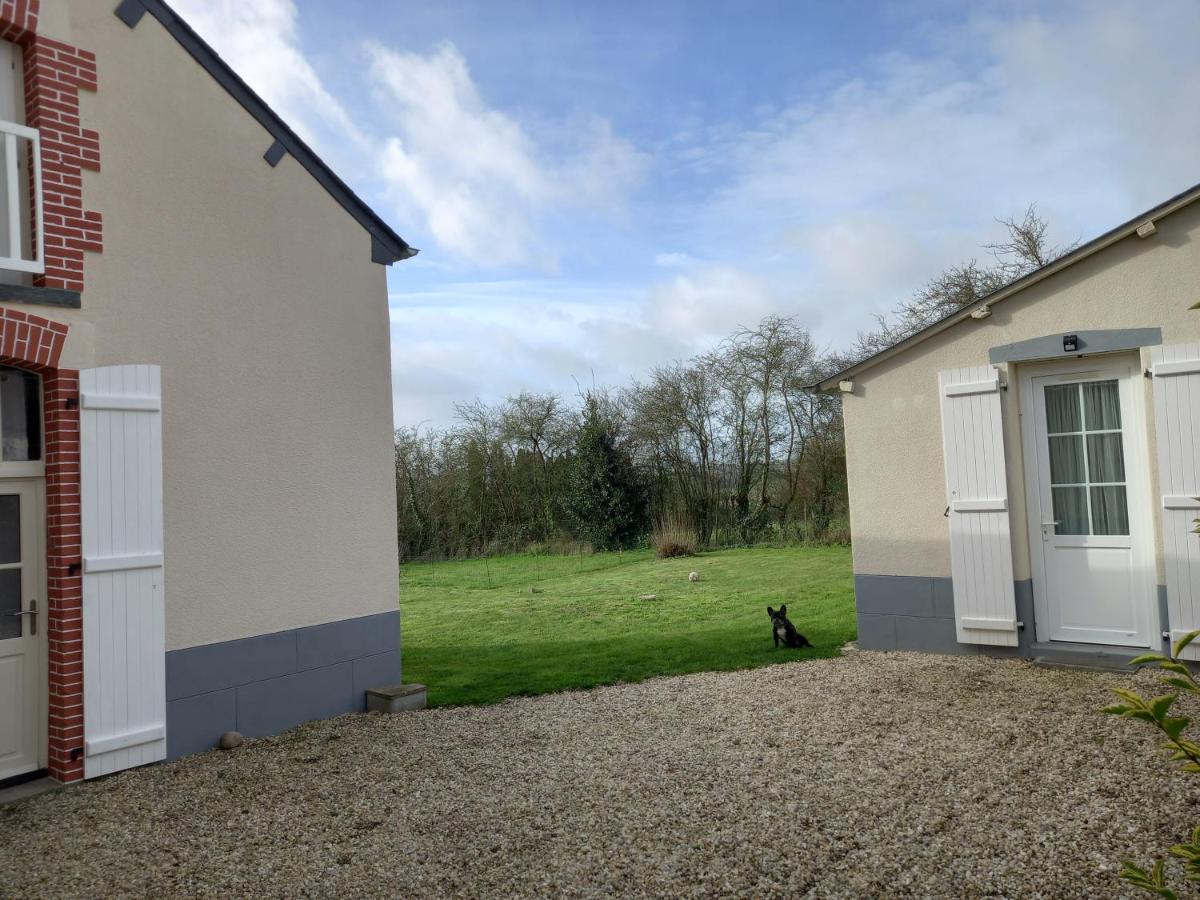 Insolite duplex - Housity