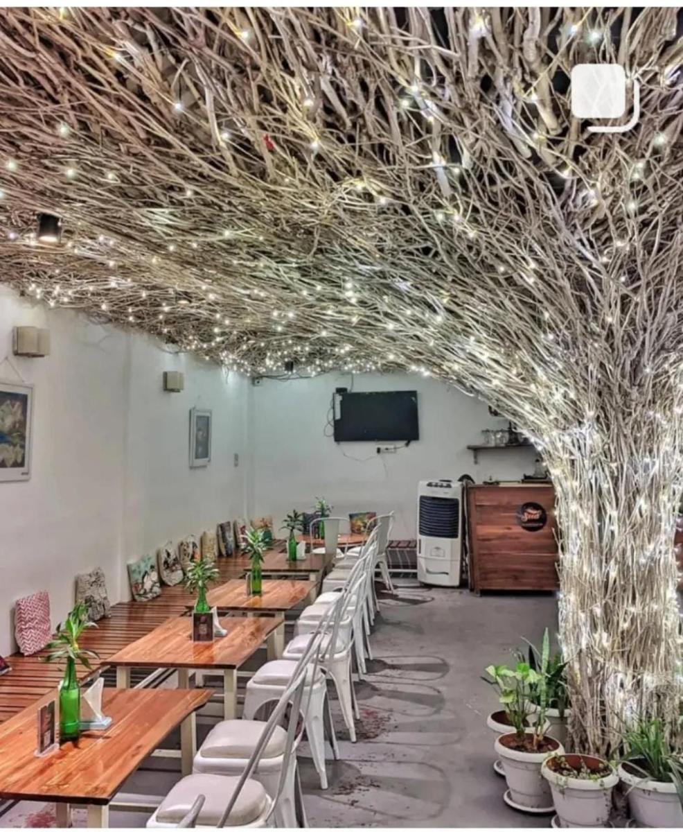 Seed Resort - Housity