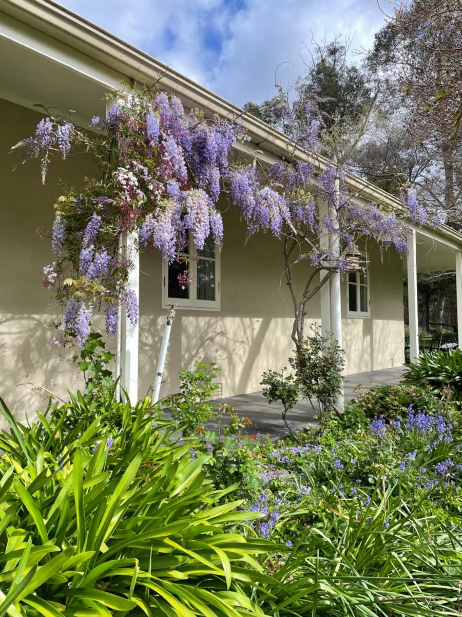 Fleetwood Cottage Bed and Breakfast - Housity