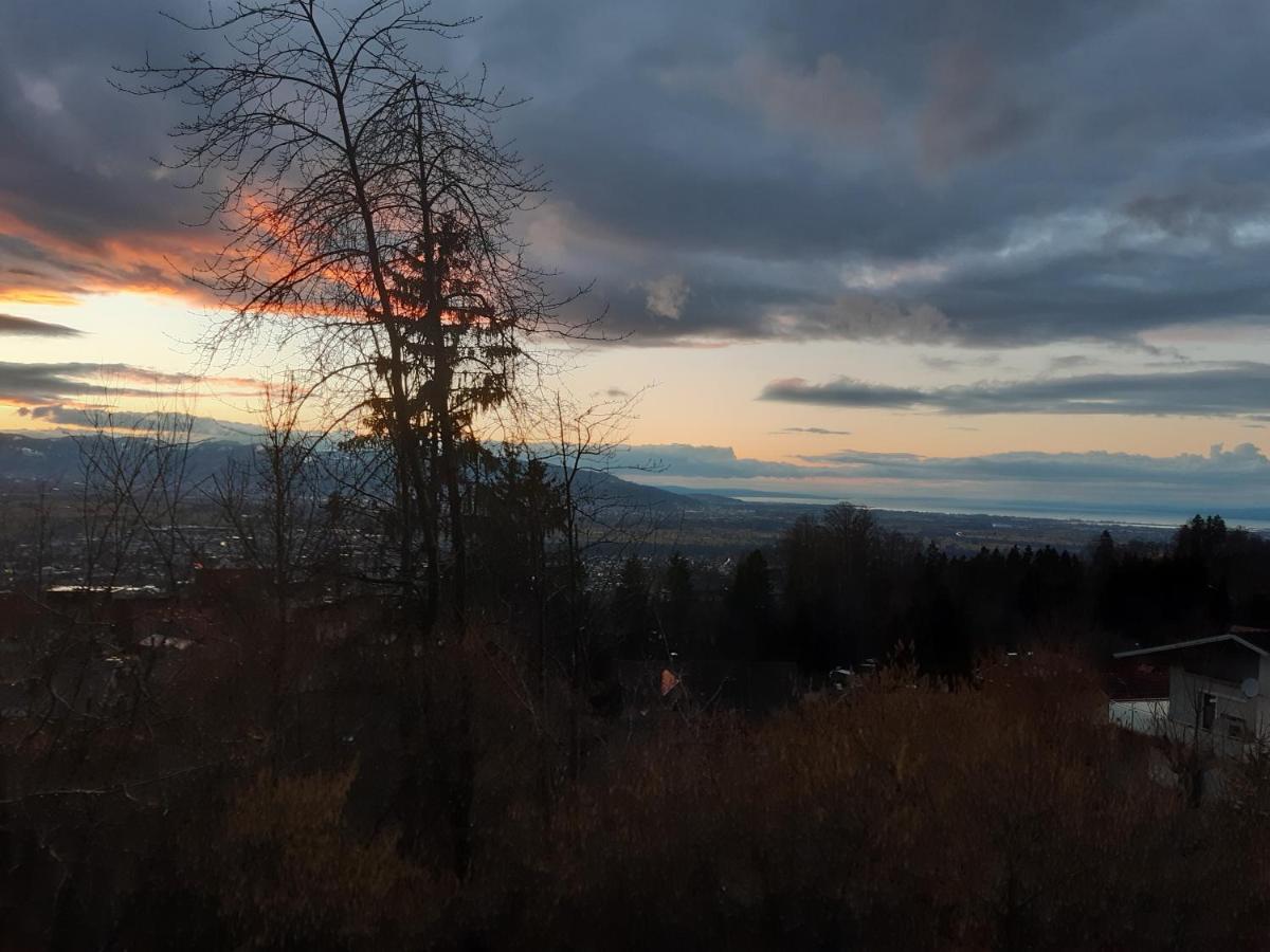 Ferienwohnung Bodenseeblick - Housity