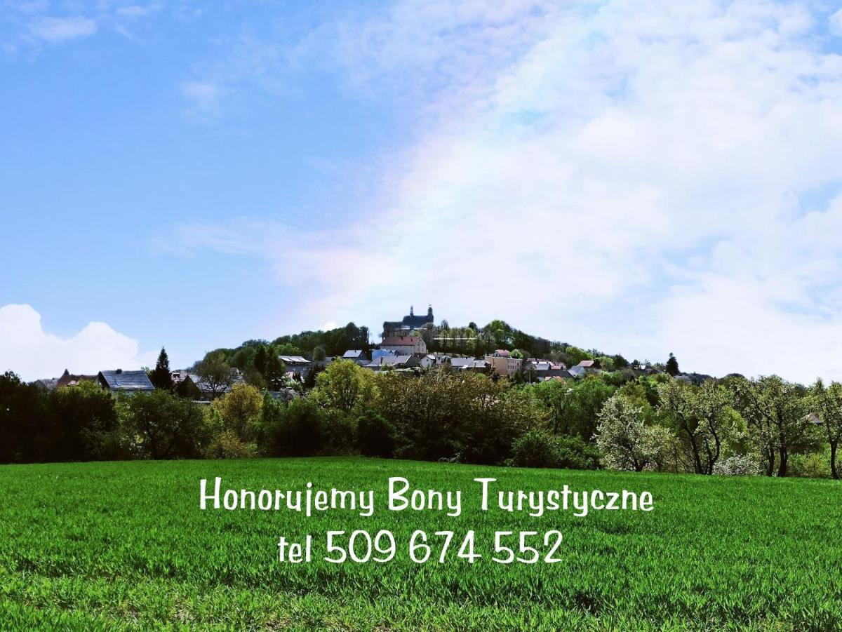 Alba Góra Św Anny Restauracja i Pokoje - Housity