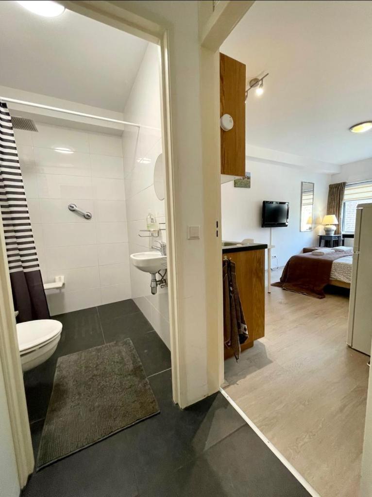 Amazing Studio Admiraal - Housity