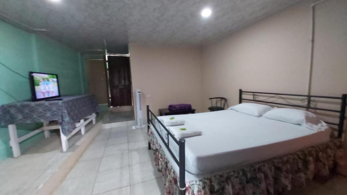 Mayela Aguas-Zarcas - Housity