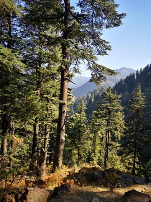 Chitvan EcoLodge - Entire Chalet - Housity