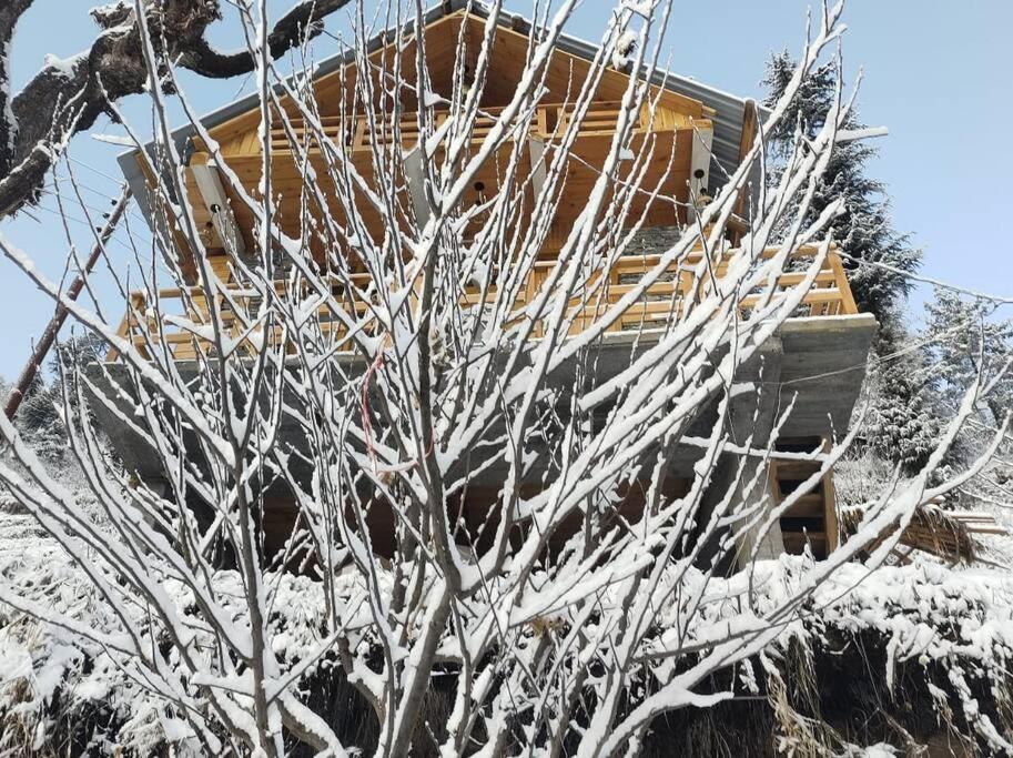 Chitvan EcoLodge - Entire Chalet - Housity