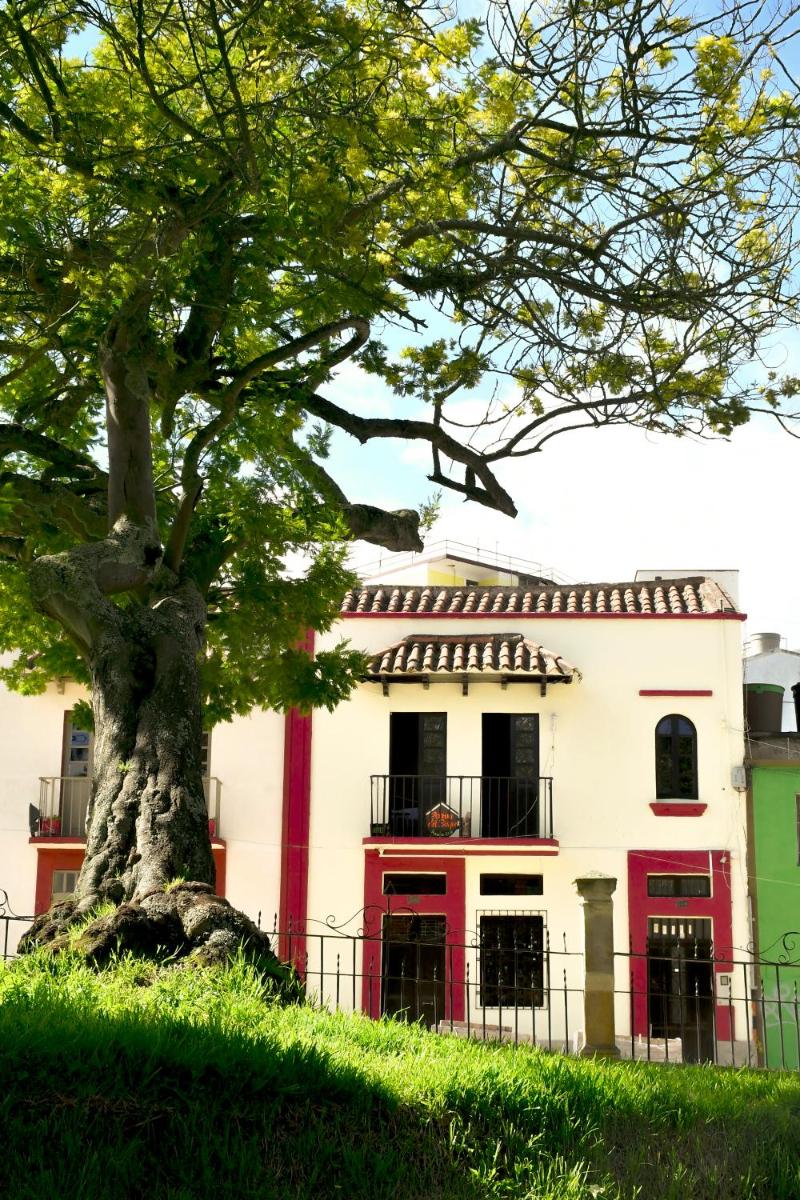 Hotel Aroma del Bosque Posada Cafe - Housity
