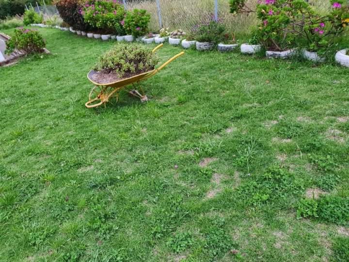 Cabaña Villa Gabriela - Housity