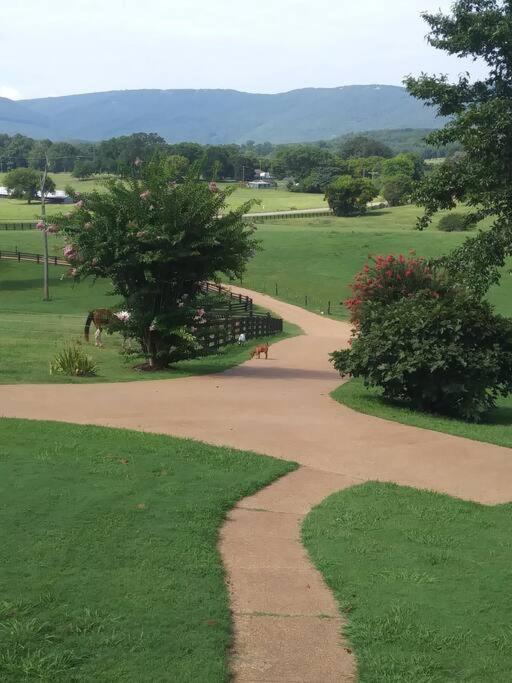 Chickamauga Mountain View Cottage at Lookout Mtn. - Housity