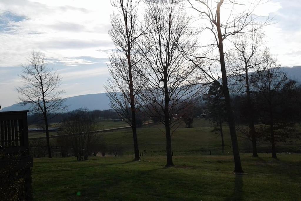 Chickamauga Mountain View Cottage at Lookout Mtn. - Housity
