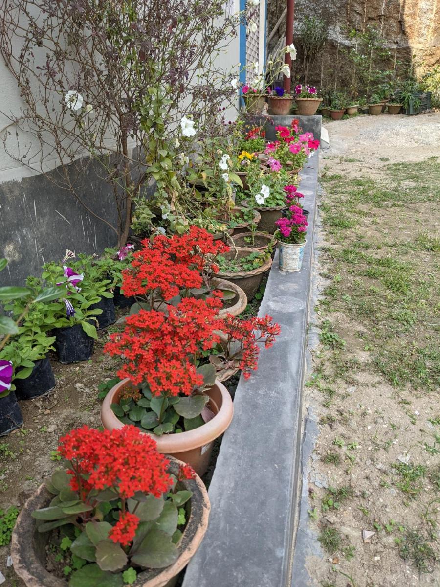 Nilachal Homes - Housity