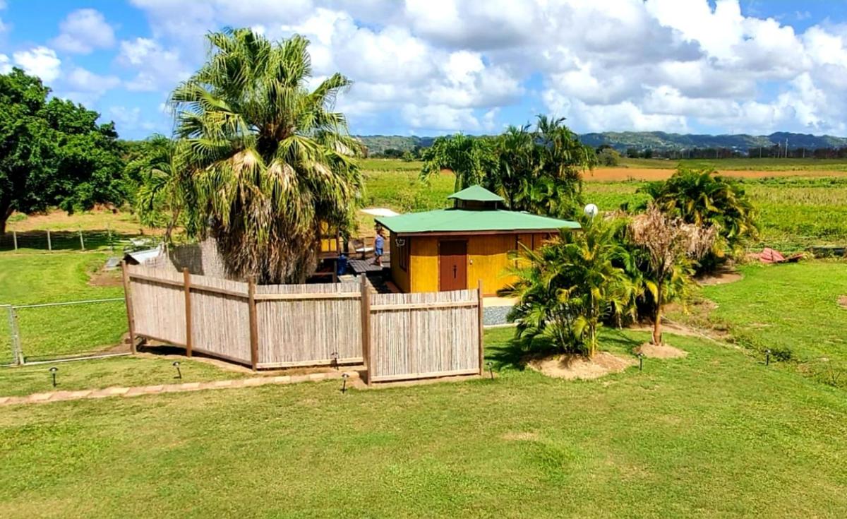 Ariami Rose - Housity