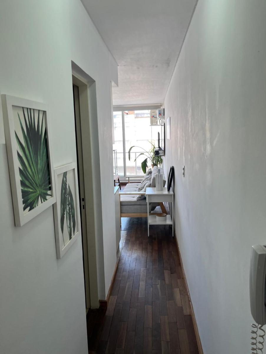 Monoambiente luminoso y moderno - Housity