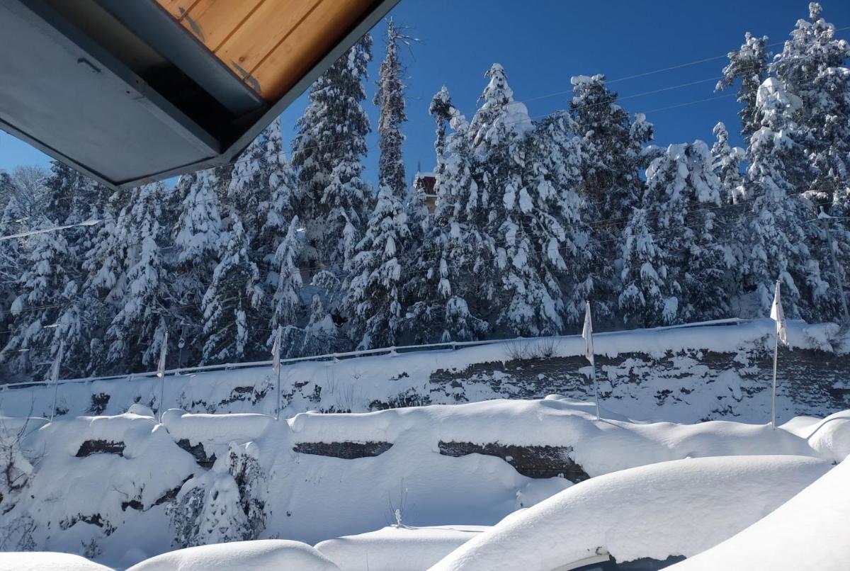 a room covered in snow with trees in the background at Radisson Kufri in Shimla