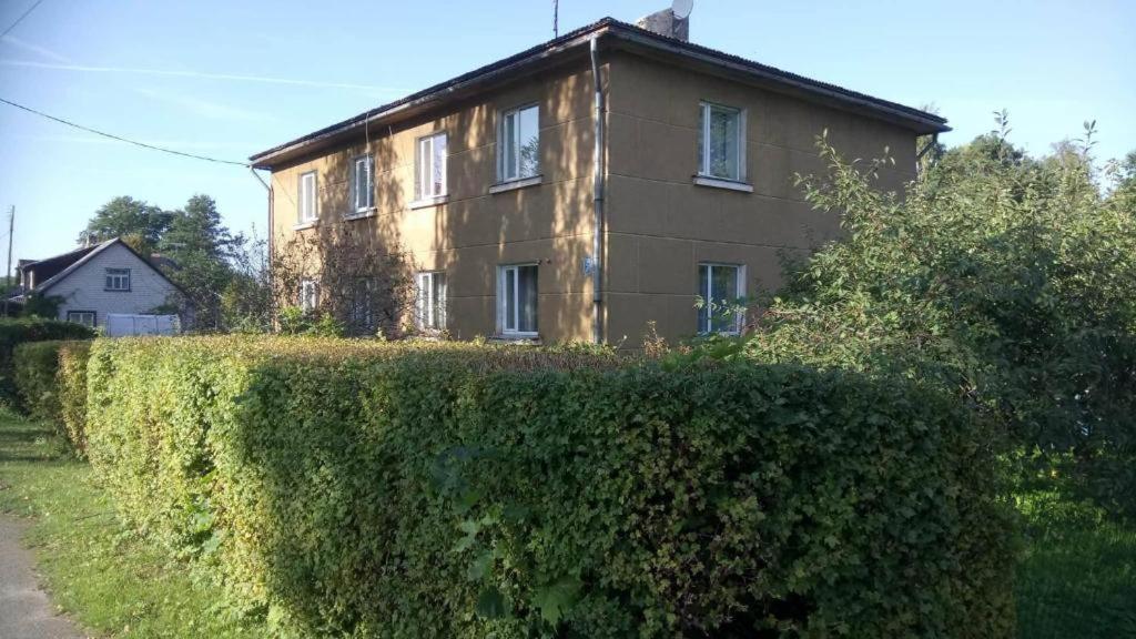 Selgas Iela Apartment - Housity
