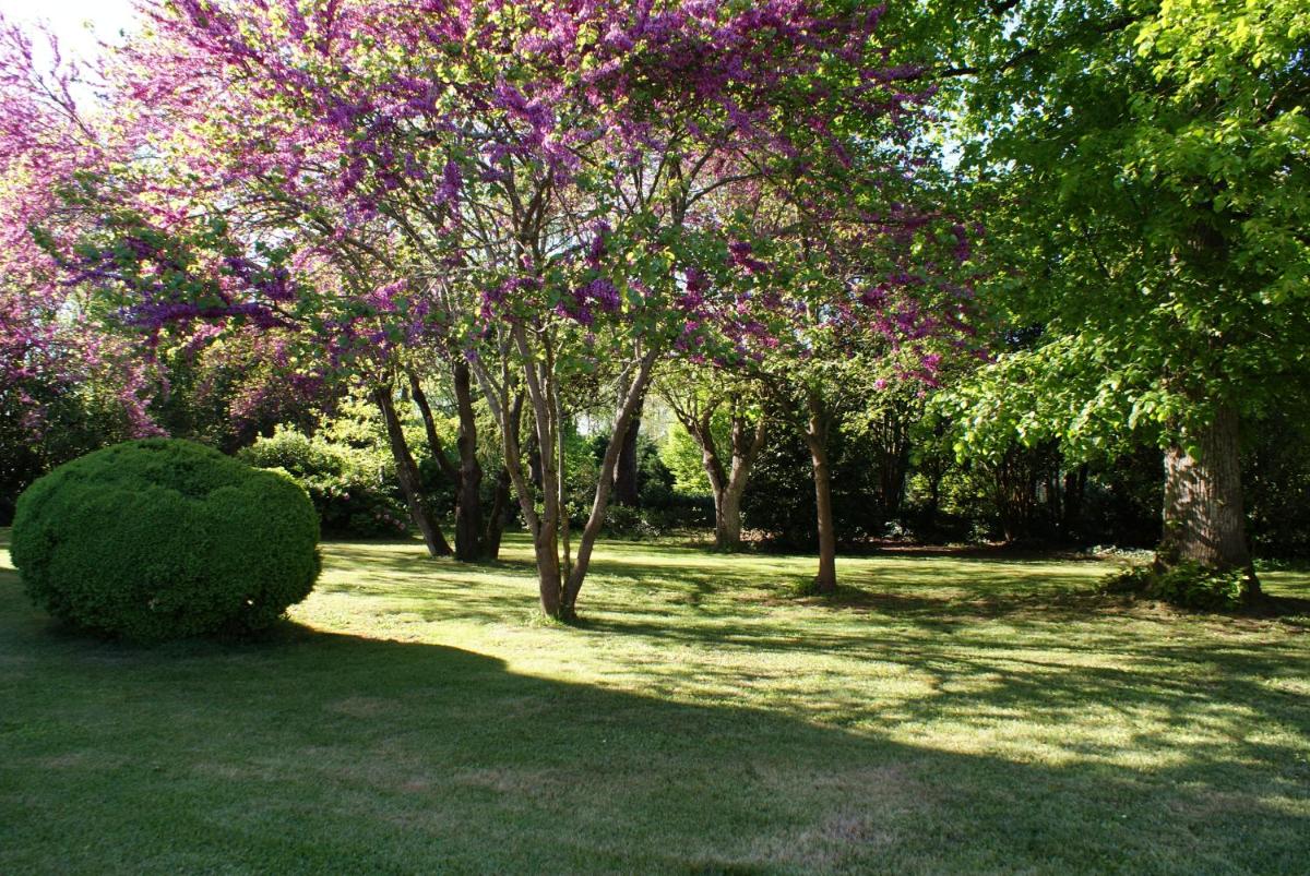 Chateau De Grenier Apartment - Housity
