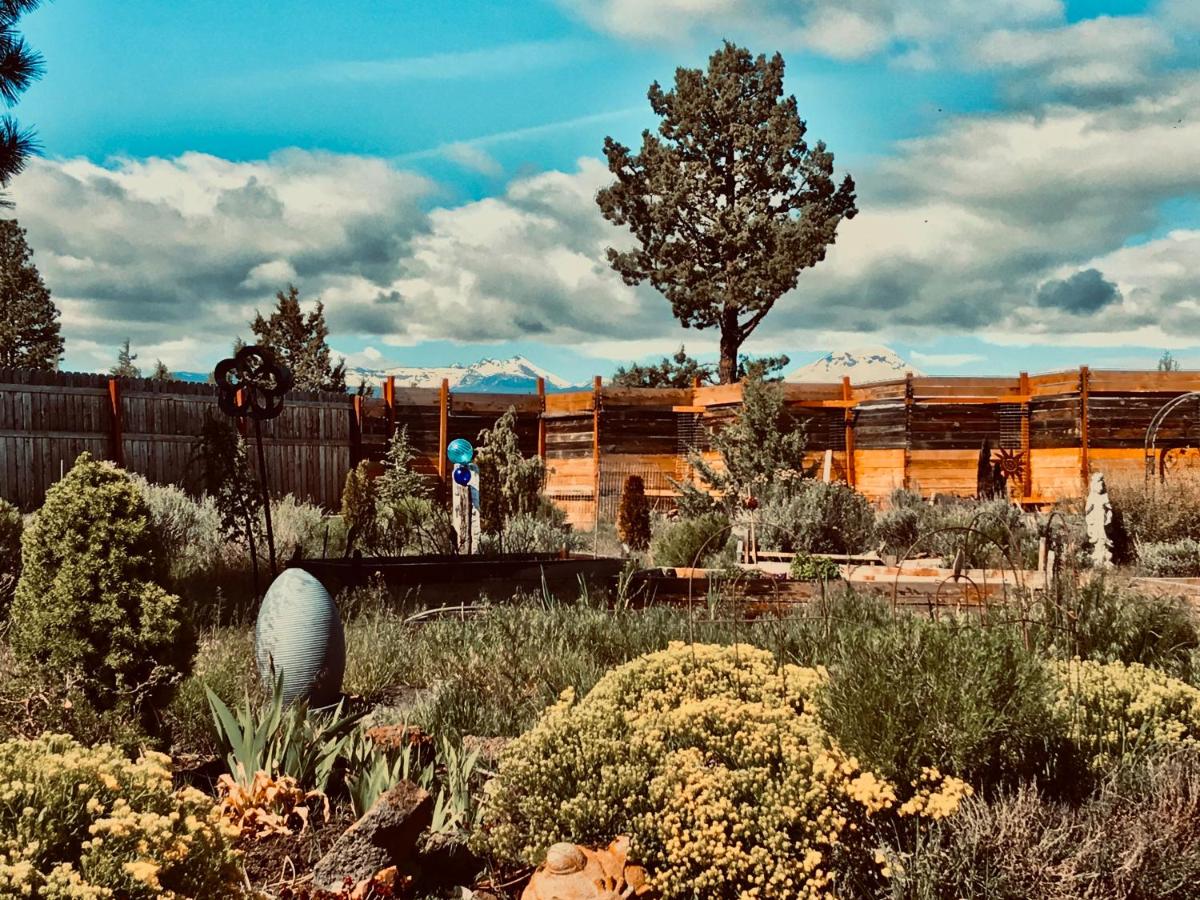 Flower Power Farm 3 bdrm, 2 bth home, Amazing Views, Privacy, Relaxation - Housity