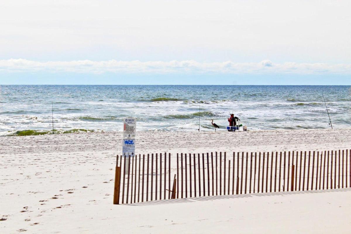 Seascape by Youngs Suncoast - Housity