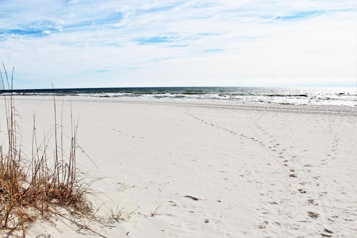 Seascape by Youngs Suncoast - Housity