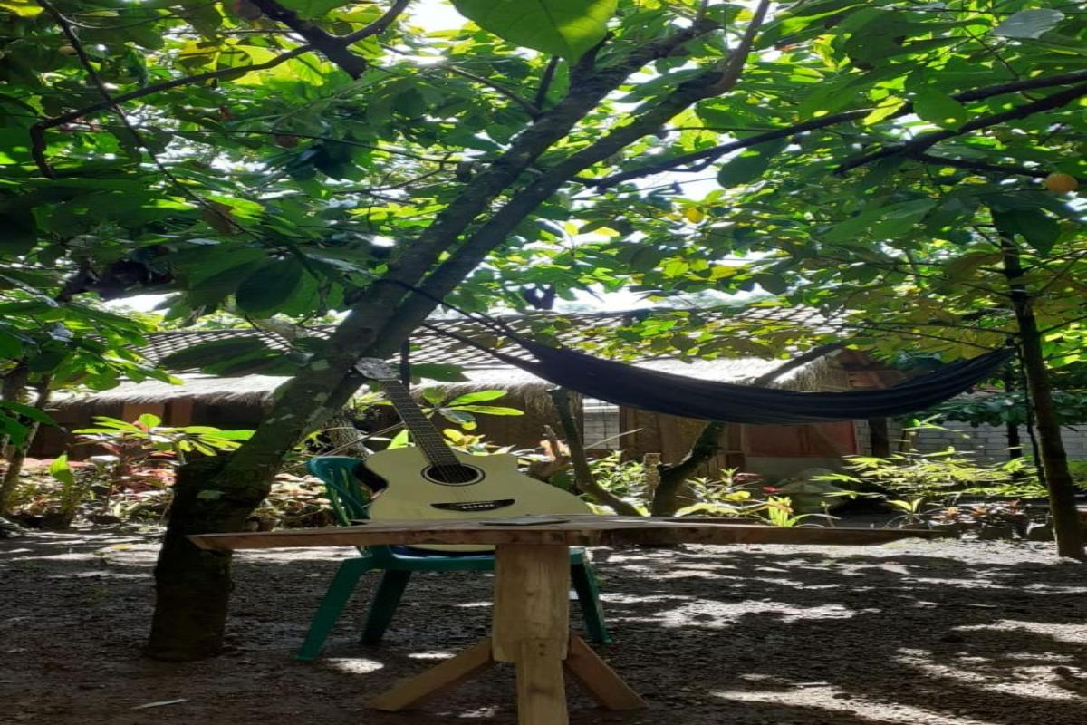 Cocoa Garden Homestay - Housity