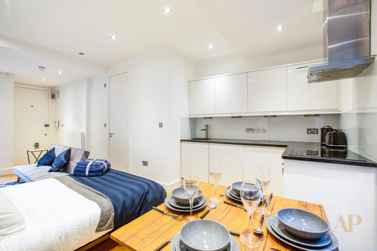 Spacious Lower ground Studio Apartment with private patio near Warren Street - Housity