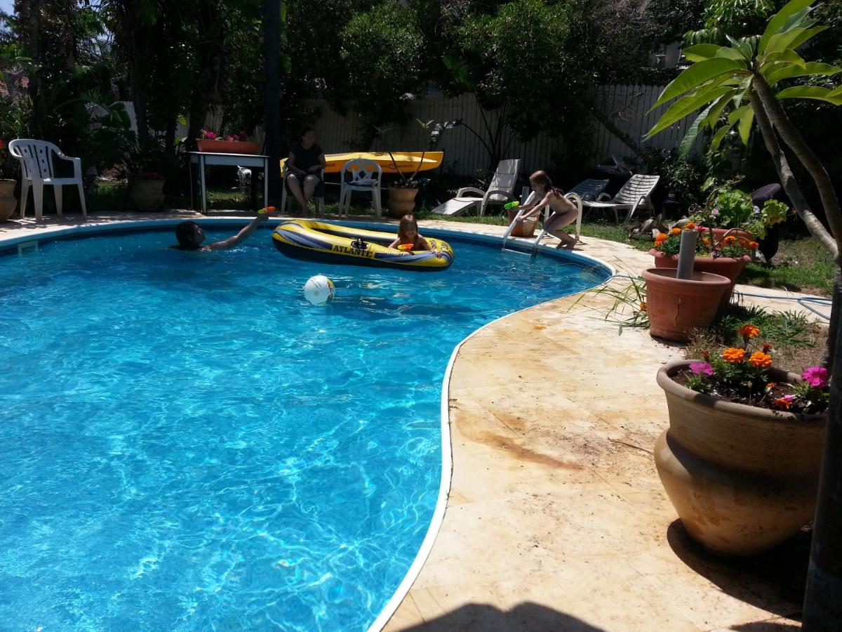 Queen Bereniki - Housity