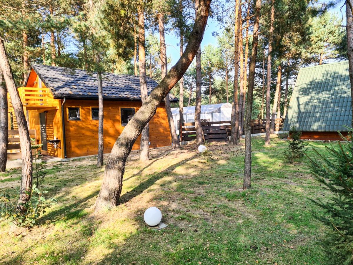 Domki nad Wartą Kajaki & SPA - Housity