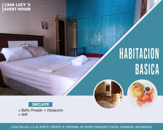 Suitetrails - Casa Lucys Hostal