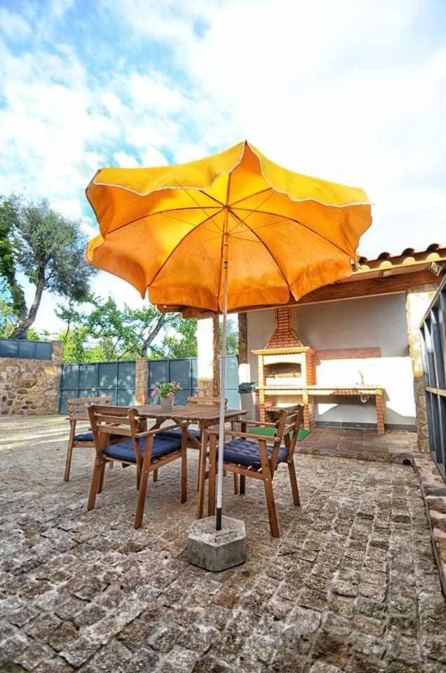 Casa das Vinhas Camélias de BastoTurismo Rural - Housity