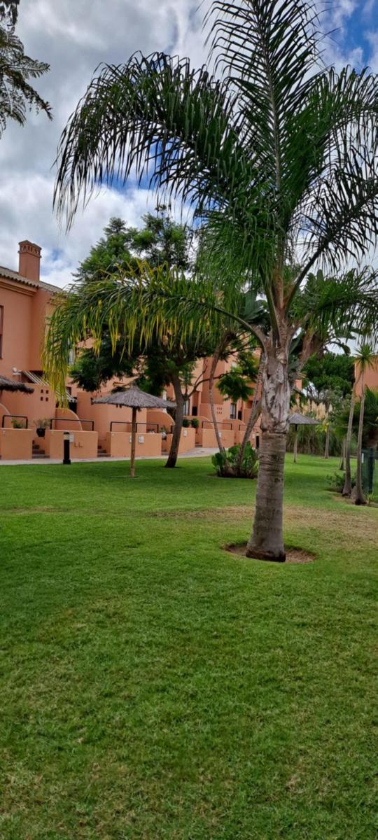 UNIFAMILIAR 3 D.NOVO SANCTI PETRI - Housity