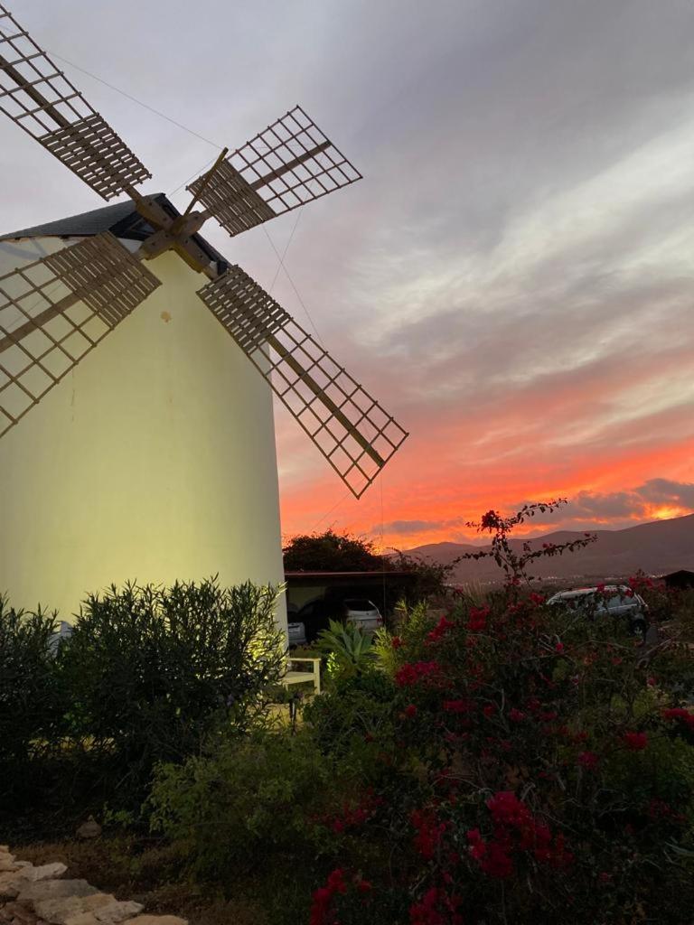 FINCA EL MOLINO B&B FUERTEVENTURA (WINDMILL HOUSE) - Housity