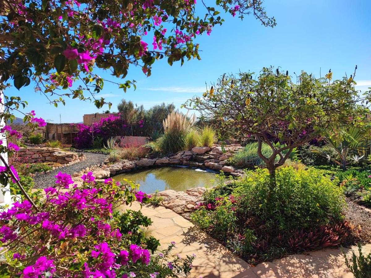 FINCA EL MOLINO B&B FUERTEVENTURA (WINDMILL HOUSE) - Housity