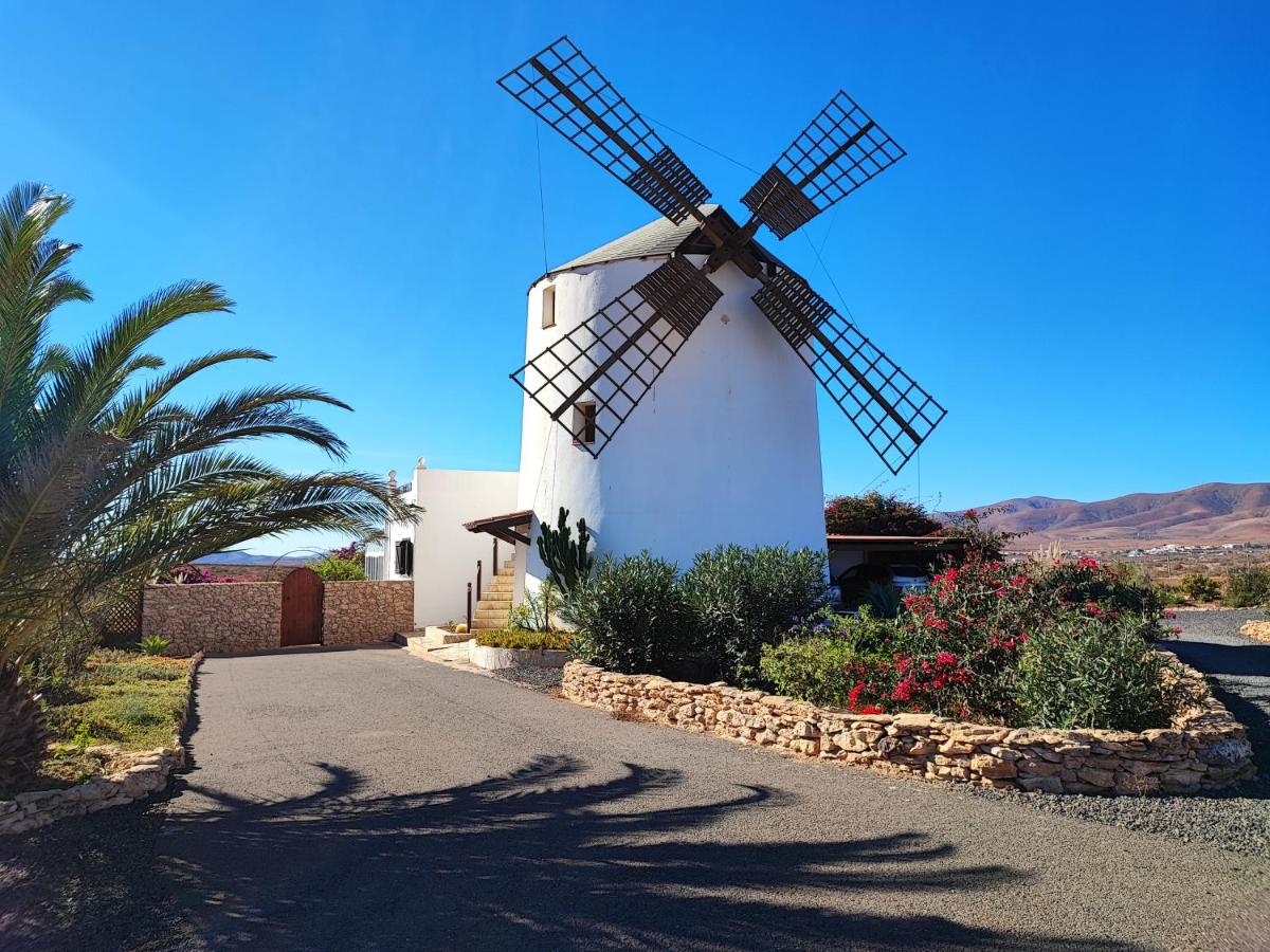 FINCA EL MOLINO B&B FUERTEVENTURA (WINDMILL HOUSE) - Housity