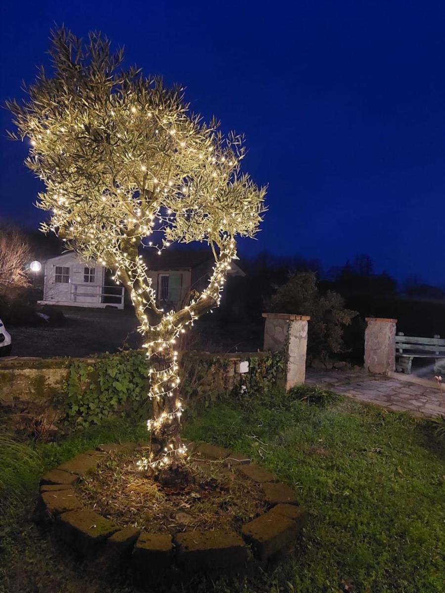 La BedOlla '41 Tortona - Housity