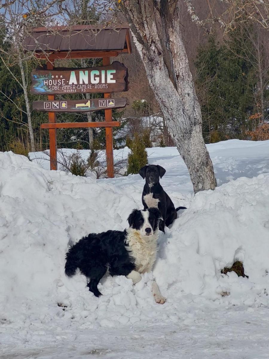 Suitetrails - House Angie